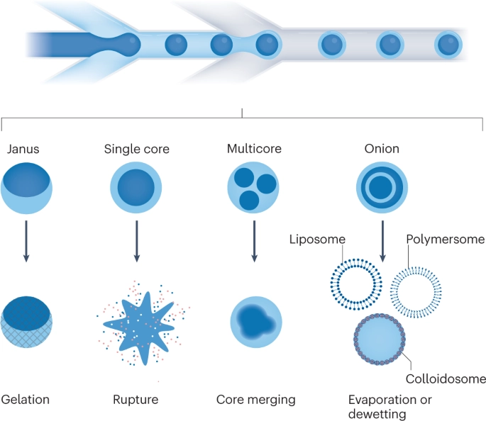 RNA Biology and RNA Interference